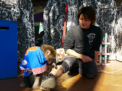 東筑波ユートピア飼育員スタッフ（鈴木に冨田に園長も）詳細プロフ公開！バイト募集も志村どうぶつ園で？ | しげまるニュース速報